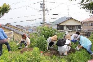 トマト