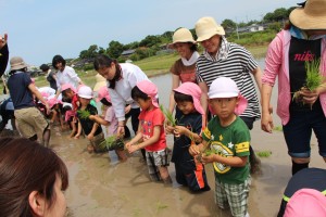 田植えしょうたろう