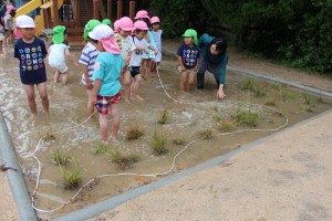 田植えみんなあつまる